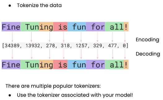 tokenize-eg